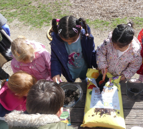 Wir entdecken den Frühling mit allen Sinnen